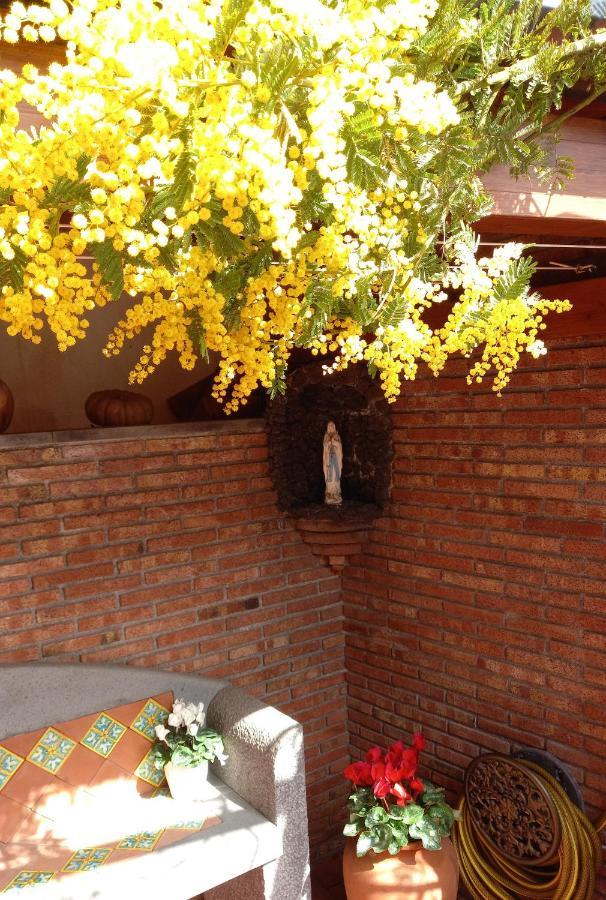 Casa Dell'Ulivo Villa Aci Bonaccorsi Exterior photo